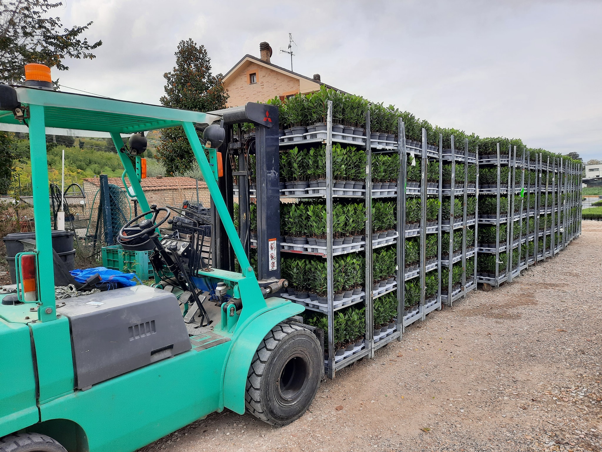 A CC trolley stacked with organized trays of plants, prepared for transport.
