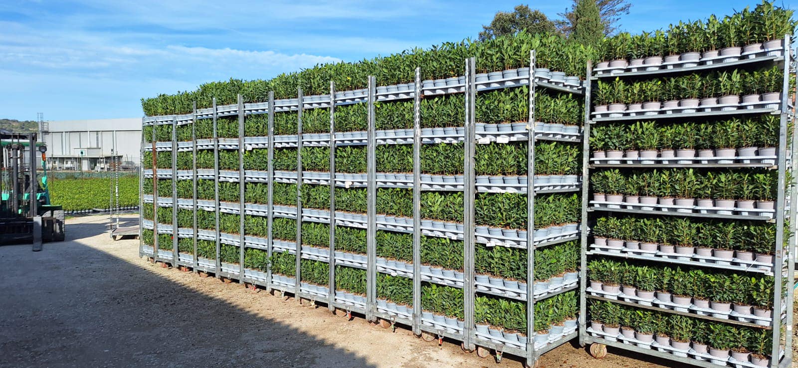 A well-organized CC container holding multiple trays of plants, prepared for safe and efficient transportation