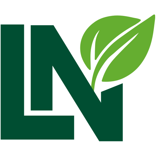Vivai Laurus Nobilis